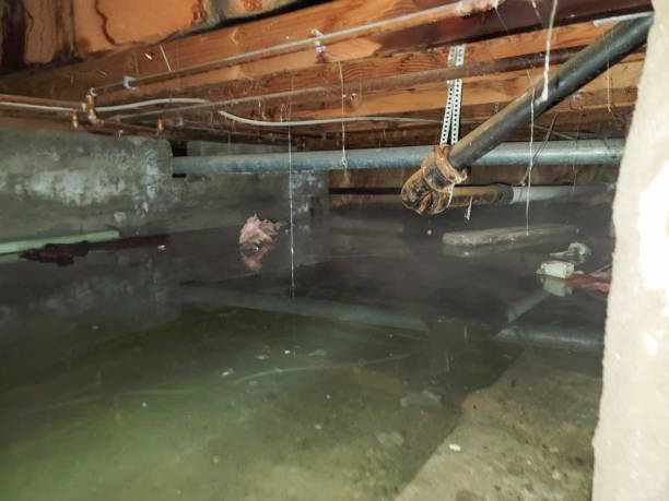 Best Commercial water damage restoration  in Sandy Springs, SC