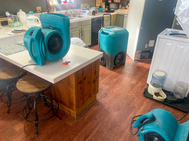Best Water damage cleanup near me  in Sandy Springs, SC