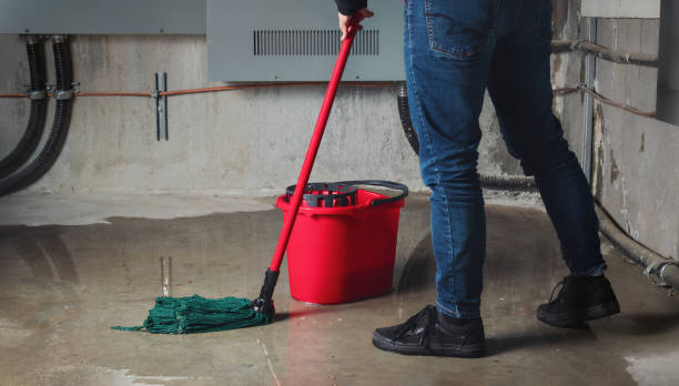 Best Ceiling water damage repair  in Sandy Springs, SC