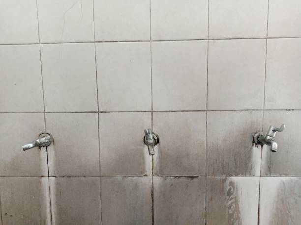 Best Commercial water damage restoration  in Sandy Springs, SC
