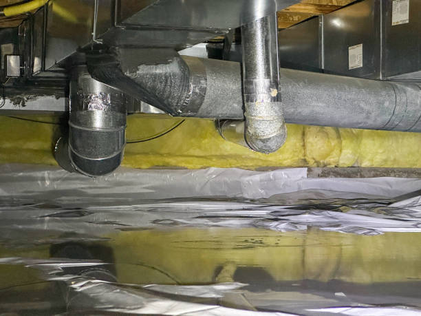 Best Carpet water damage restoration  in Sandy Springs, SC