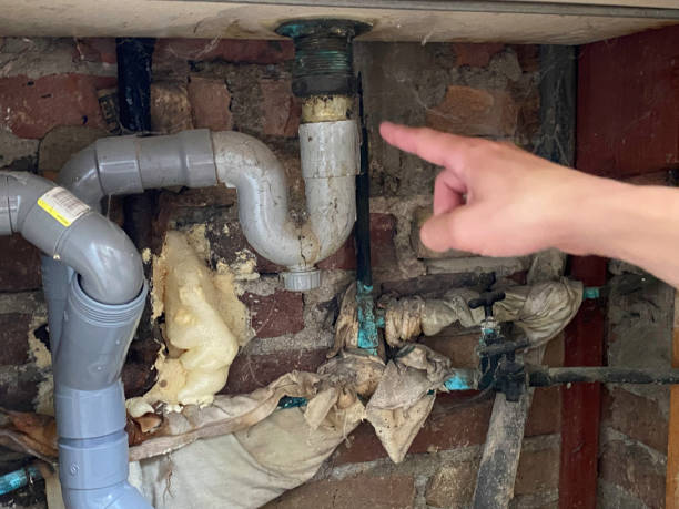 Best Flood restoration services  in Sandy Springs, SC