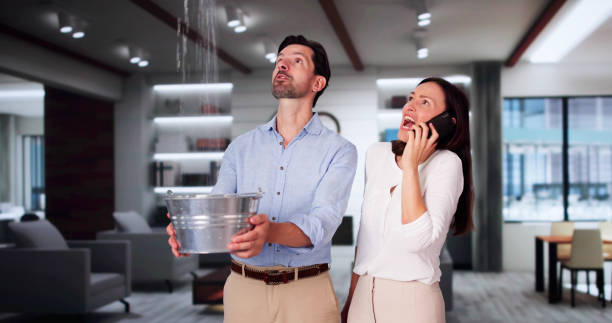 Best Water damage cleanup near me  in Sandy Springs, SC