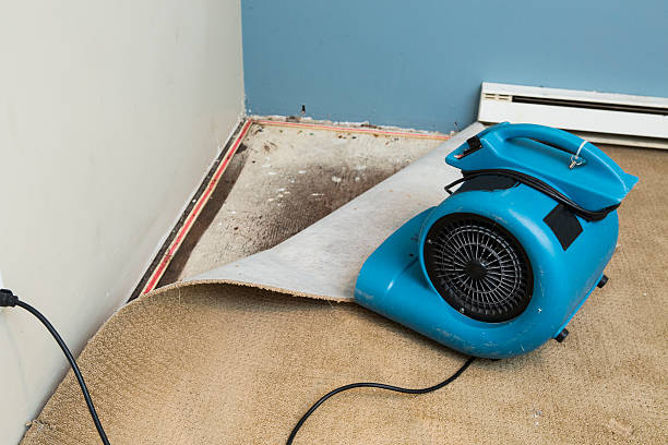 Best Water damage contractors near me  in Sandy Springs, SC